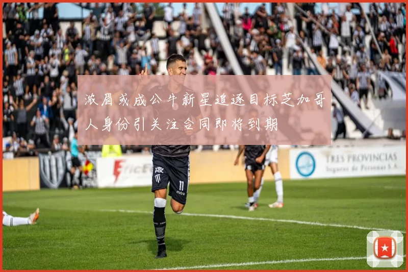 浓眉或成公牛新星追逐目标芝加哥人身份引关注合同即将到期