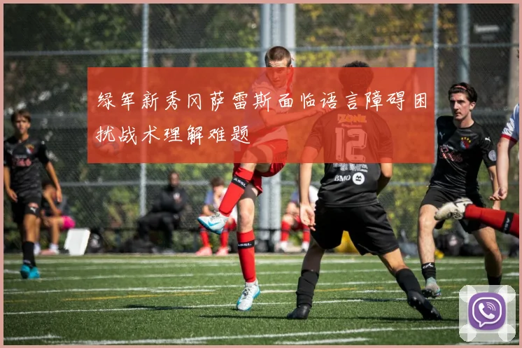 绿军新秀冈萨雷斯面临语言障碍困扰战术理解难题